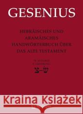 Hebräisches Und Aramäisches Handwörterbuch Über Das Alte Testament: 5. Lieferung Sade Bis Sin Donner, Herbert 9783540785996 Springer, Berlin - książka