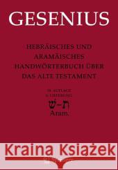 Hebräisches Und Aramäisches Handwörterbuch Über Das Alte Testament: 6. Lieferung Schin - Tau - Biblisch-Aramäisch Gesenius, Wilhelm 9783642128318 Springer, Berlin - książka