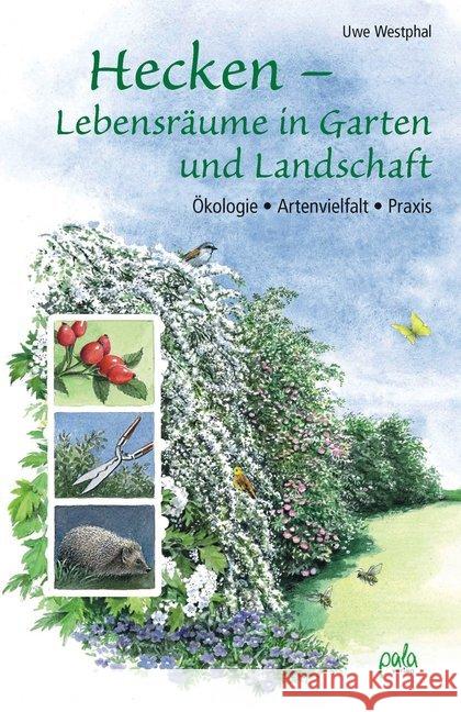 Hecken - Lebensräume in Garten und Landschaft : Ökologie - Artenvielfalt - Praxis Westphal, Uwe 9783895662966 Pala-Verlag - książka