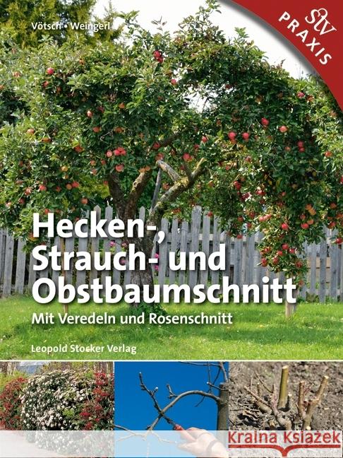 Hecken-, Strauch- und Obstbaumschnitt : Mit Veredeln und Rosenschnitt Vötsch, Josef; Weingerl, Wolfgang 9783702016715 Stocker - książka