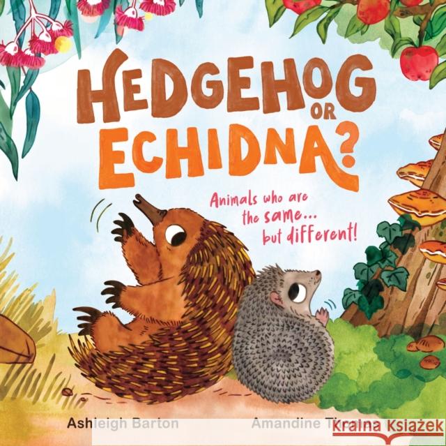 Hedgehog or Echidna? Ashleigh Barton 9780734422682 Hachette Australia - książka