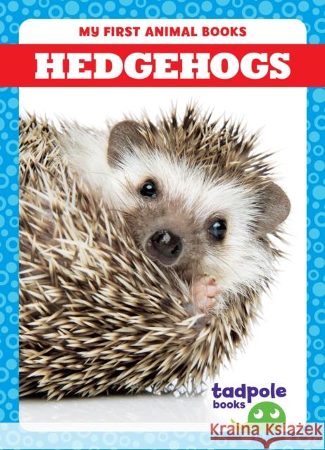 Hedgehogs Marie Brandle 9798885246613 Tadpole Books - książka