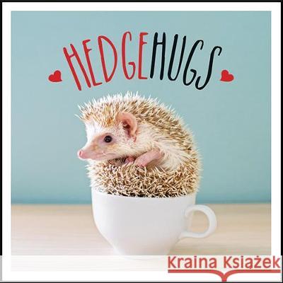 Hedgehugs : A Spike-Tacular Celebration of the World's Cutest Hedgehogs Ellis, Charlie 9781787832589 Summersdale - książka