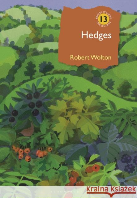 Hedges Robert Wolton 9781399411714 Bloomsbury Publishing PLC - książka