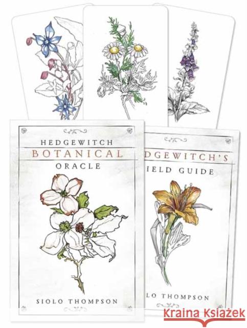 Hedgewitch Botanical Oracle Siolo Thompson 9780738757537 Llewellyn Publications - książka