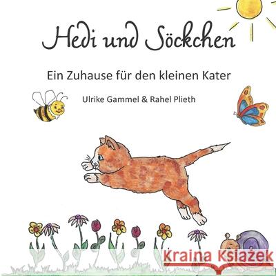 Hedi und Söckchen: Ein Zuhause für den kleinen Kater Plieth, Rahel 9783861969143 Papierfresserchens MTM-Verlag - książka