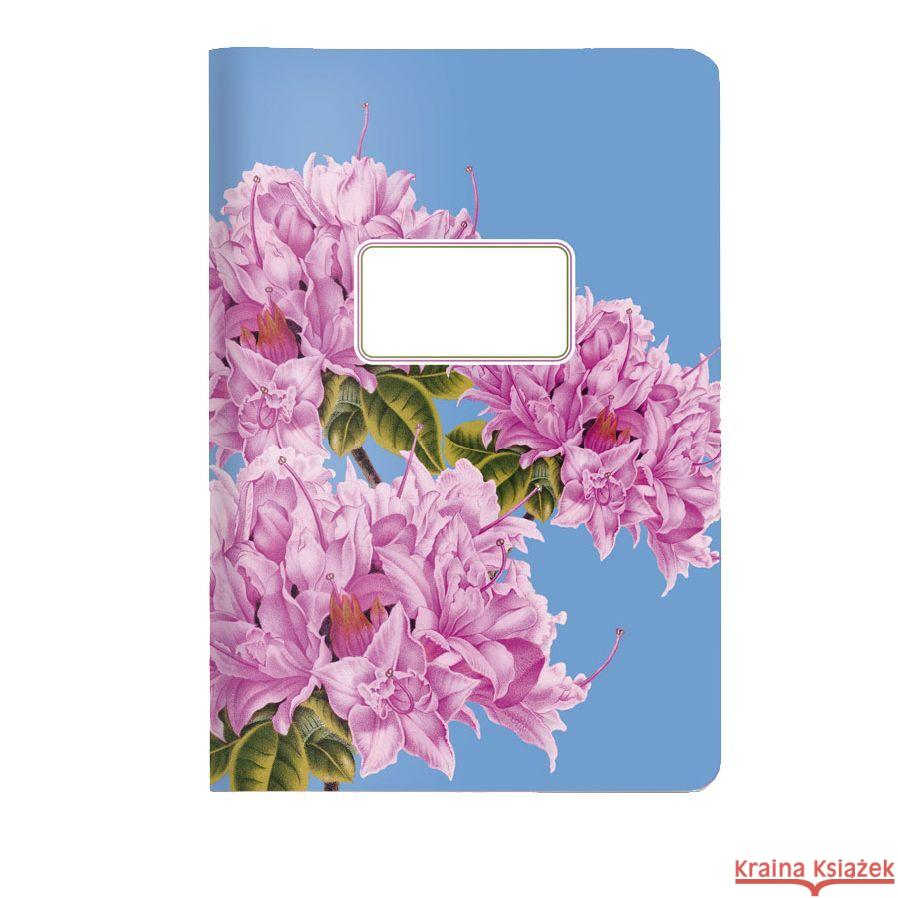 Heft A5 Azalee  4048809030008 CEDON MuseumsShops - książka