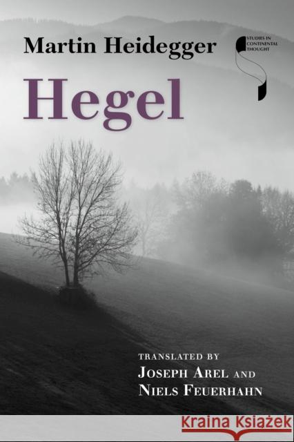 Hegel  9780253017574 Indiana University Press - książka