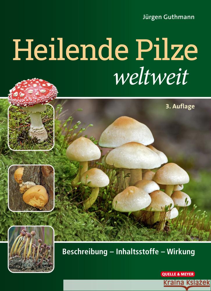 Heilende Pilze weltweit Guthmann, Jürgen 9783494019604 Quelle & Meyer - książka