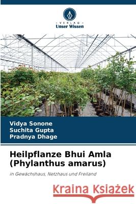 Heilpflanze Bhui Amla (Phylanthus amarus) Sonone, Vidya, Gupta, Suchita, Dhage, Pradnya 9786209064685 Verlag Unser Wissen - książka
