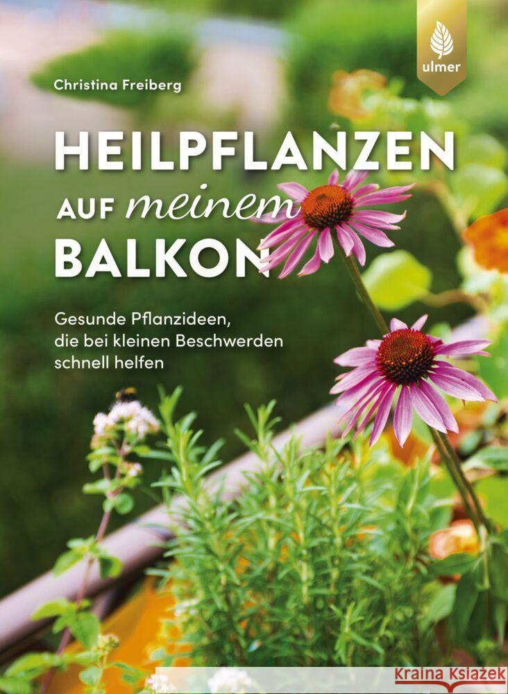 Heilpflanzen auf meinem Balkon Freiberg, Christina 9783818622282 Verlag Eugen Ulmer - książka