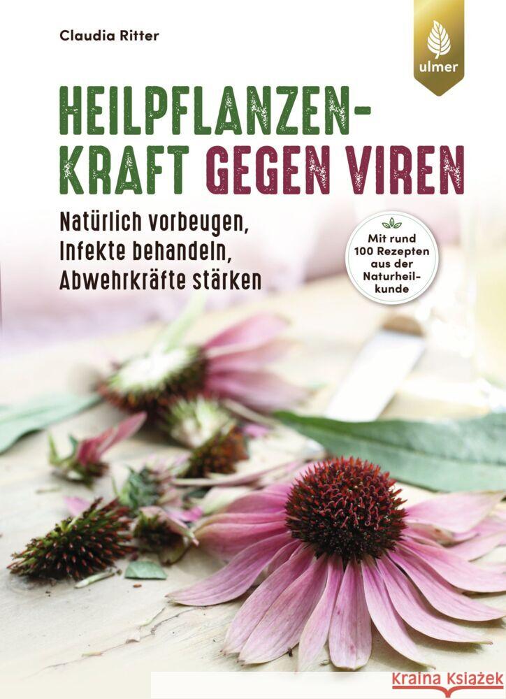 Heilpflanzenkraft gegen Viren Ritter, Claudia 9783818613204 Verlag Eugen Ulmer - książka