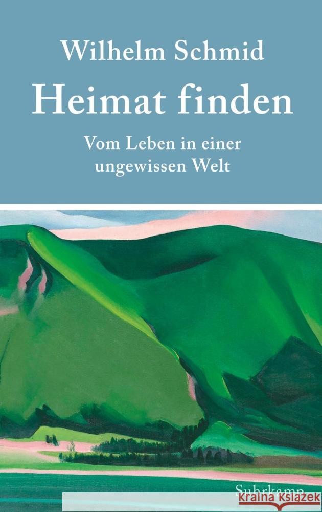 Heimat finden Schmid, Wilhelm 9783518429785 Suhrkamp Verlag - książka