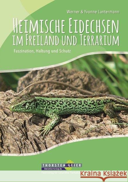 Heimische Eidechsen im Freiland und Terrarium : Faszination, Haltung und Schutz Lantermann, Werner; Lantermann, Yvonne 9783944484150 Kleintierverlag - książka
