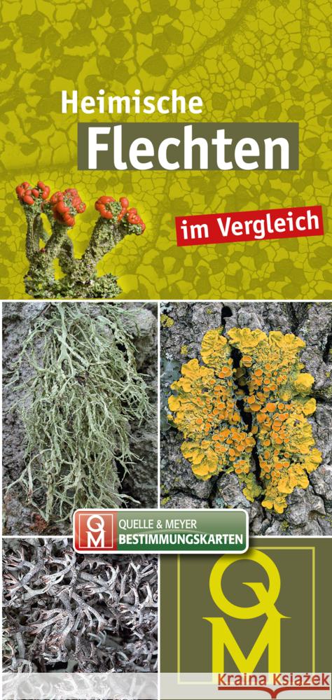 Heimische Flechten  9783494019475 Quelle & Meyer - książka