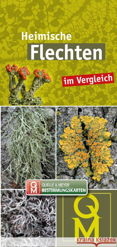 Heimische Flechten im Vergleich  9783494019482 Quelle & Meyer - książka