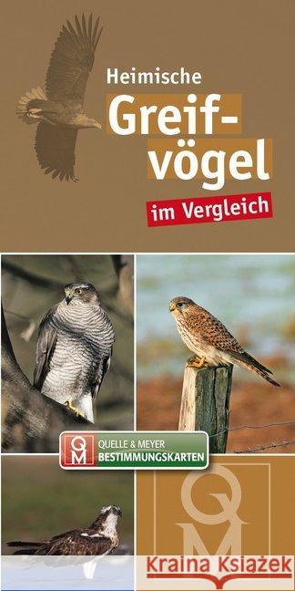 Heimische Greifvögel im Vergleich, Bestimmungskarte  9783494016122 Quelle & Meyer - książka