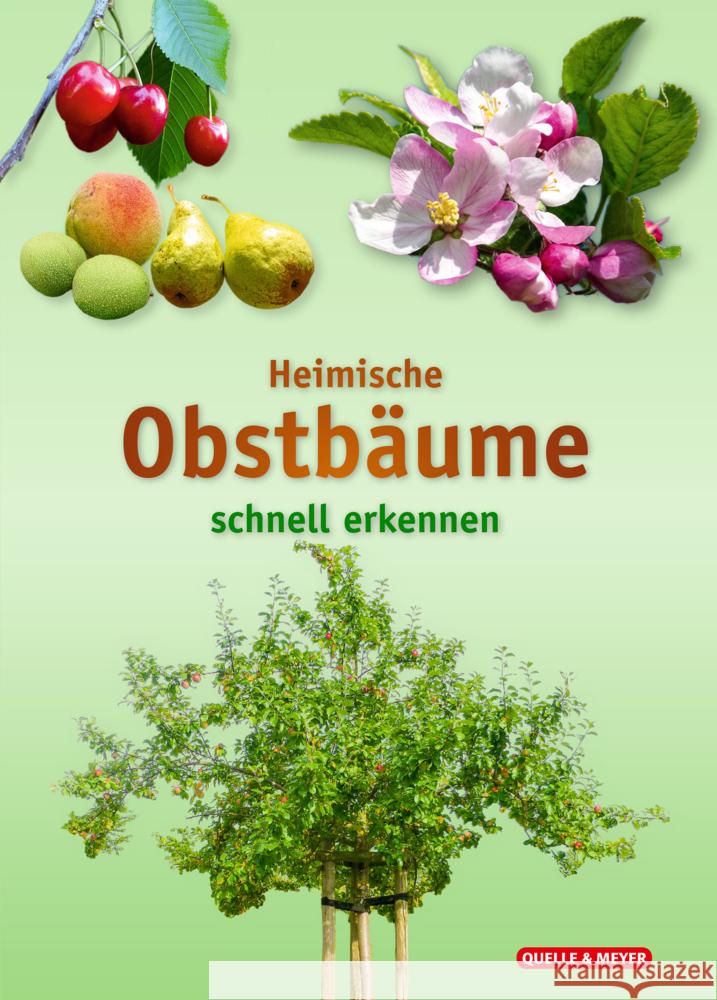 Heimische Obstbäume  9783494019499 Quelle & Meyer - książka