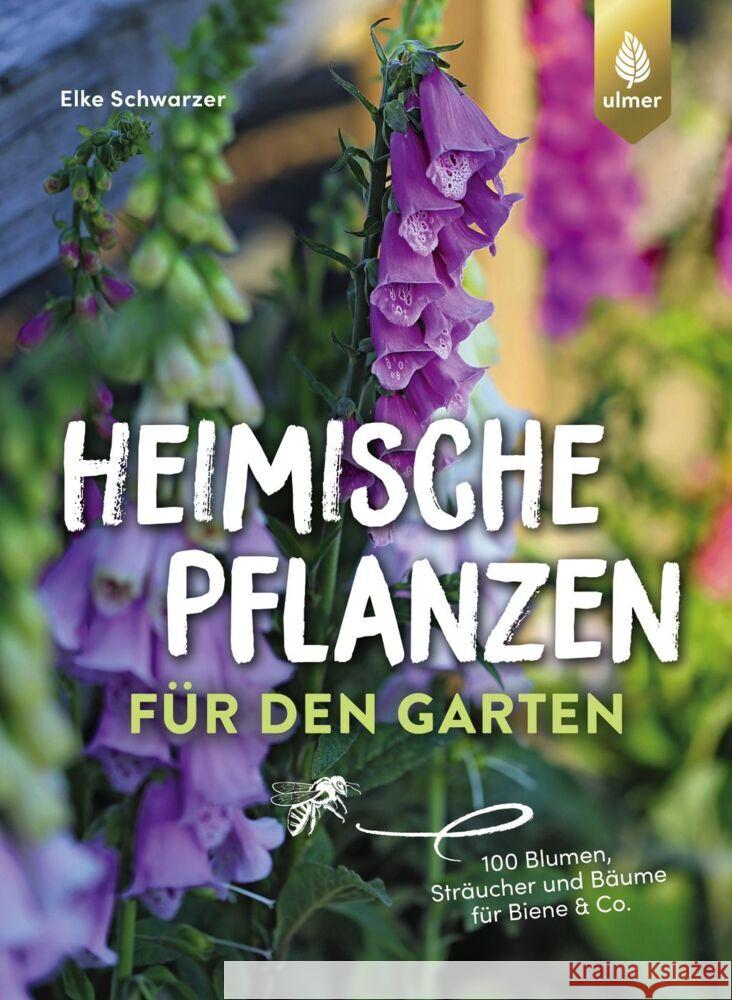 Heimische Pflanzen für den Garten Schwarzer, Elke 9783818613655 Verlag Eugen Ulmer - książka