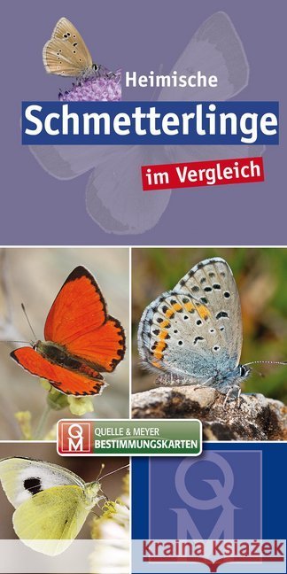 Heimische Schmetterlinge : im Vergleich  9783494018096 Quelle & Meyer - książka