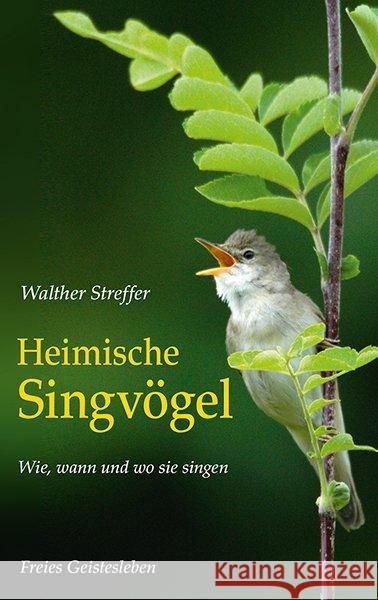 Heimische Singvögel : Wie, wann und wo sie singen Streffer, Walther 9783772527203 Freies Geistesleben - książka