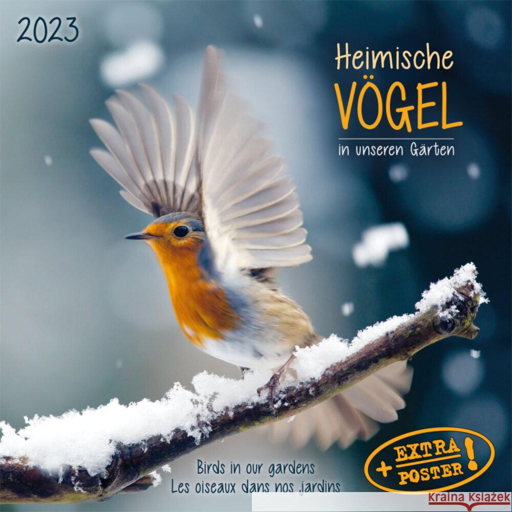 Heimische Vögel 2023  9783959291460 Tushita - książka
