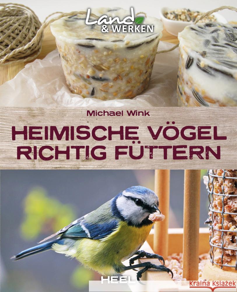 Heimische Vögel richtig füttern Wink, Michael 9783966645294 Heel Verlag - książka