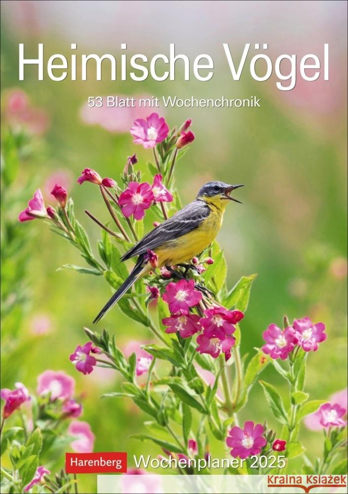 Heimische Vögel Wochenplaner 2025 - 53 Blatt mit Wochenchronik Hattstein, Markus 9783840034374 Harenberg - książka