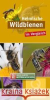 Heimische Wildbienen : im Vergleich  9783494018287 Quelle & Meyer