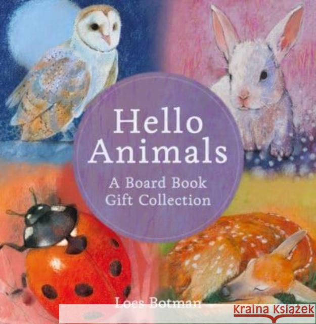 Hello Animals: A Board Book Gift Collection Loes Botman 9781782508564 Floris Books - książka