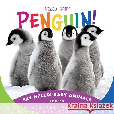 Hello Baby Penguin! Beverly Rose 9781534112834 Sleeping Bear Press - książka