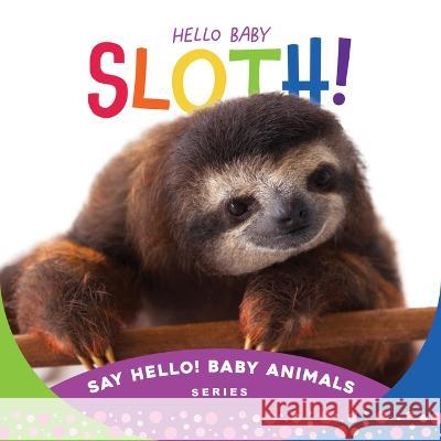 Hello Baby Sloth! Beverly Rose 9781534112858 Sleeping Bear Press - książka