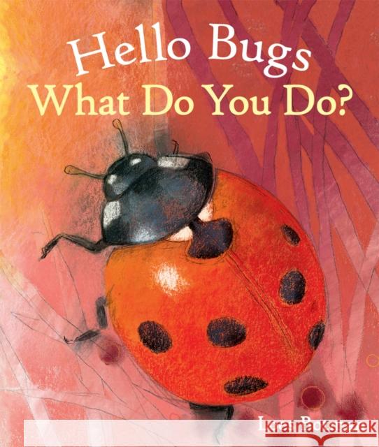 Hello Bugs, What Do You Do? Loes Botman 9781782503835 Floris Books - książka