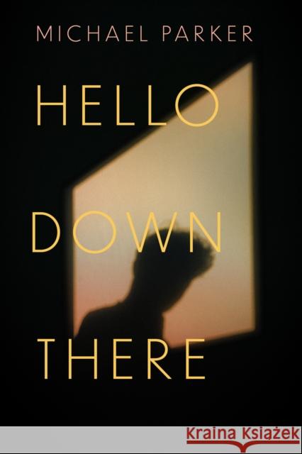 Hello Down There Michael Parker 9781958888223 Blair - książka