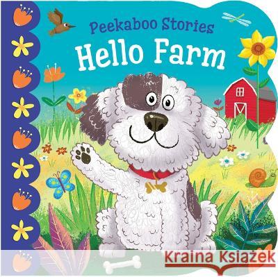 Hello Farm Kidsbooks Publishing Nicola Anderson 9781638541899 Kidsbooks Publishing - książka