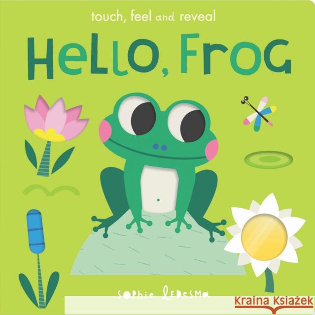 Hello, Frog: touch, feel and reveal Sophie Ledesma 9781838913175 Little Tiger Press Group - książka