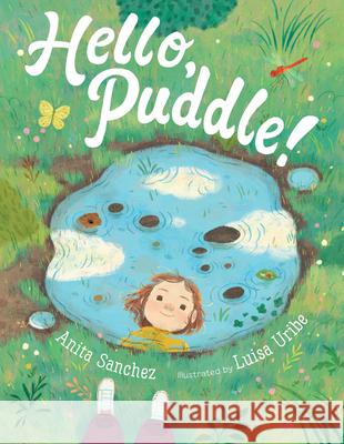 Hello, Puddle! Anita Sanchez Luisa Uribe 9780358381440 Clarion Books - książka