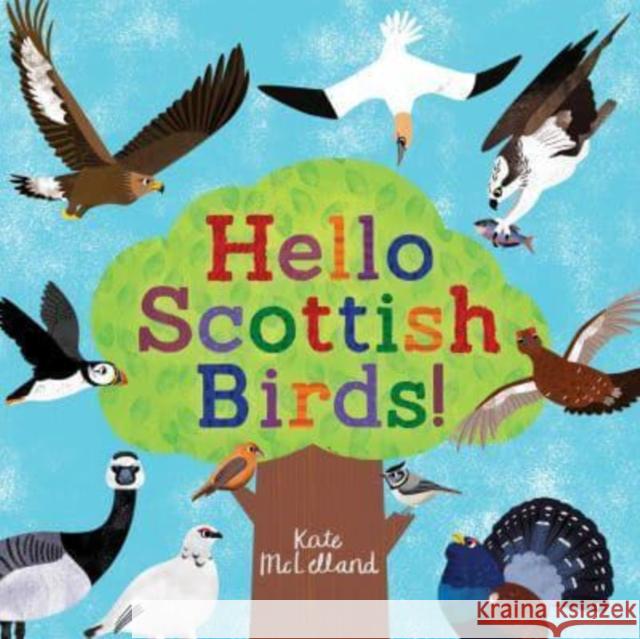 Hello Scottish Birds Kate McLelland 9781782508335 Floris Books - książka