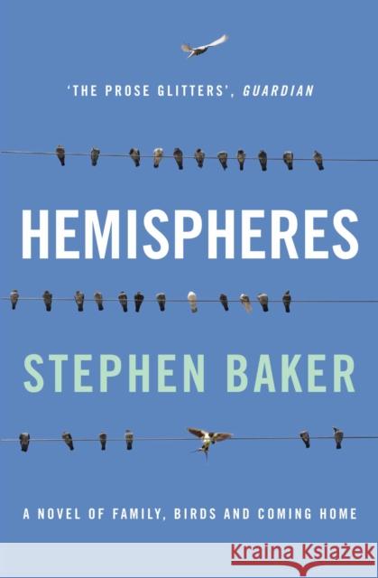 Hemispheres: A Novel of Family, Birds and Coming Home Baker, Stephen 9781848872219  - książka