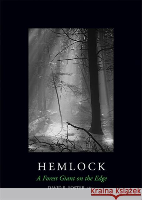 Hemlock: A Forest Giant on the Edge Foster, David R. 9780300179385 Yale University Press - książka