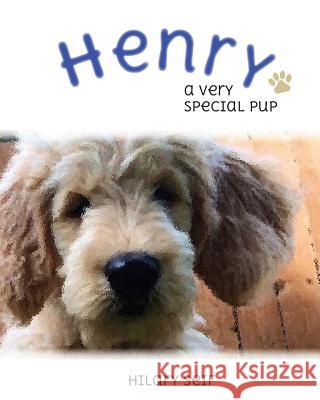 Henry: A Special Pup Hilary Seif Dana Viglietta 9781517700225 Createspace - książka