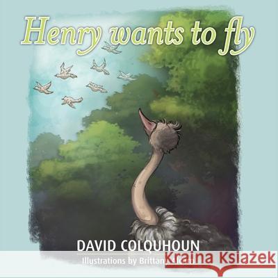 Henry wants to fly David Colquhoun Brittany Alcorn 9780645001426 David Colquhoun - książka
