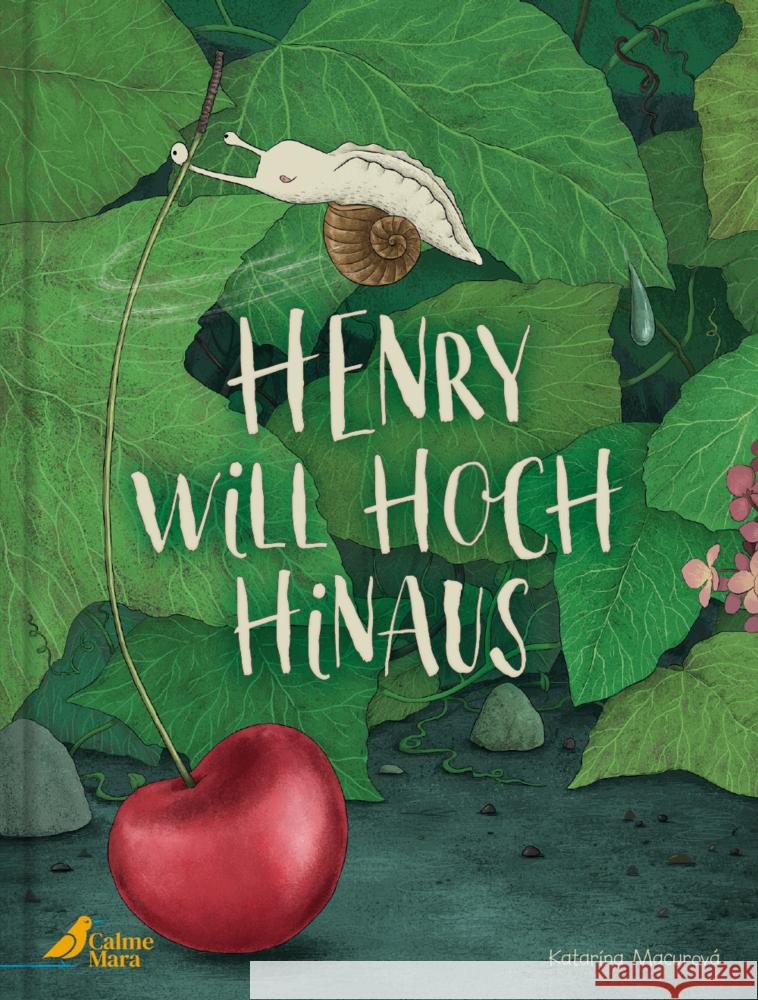 Henry will hoch hinaus Macurová, Katarína 9783948877484 CalmeMara Verlag - książka