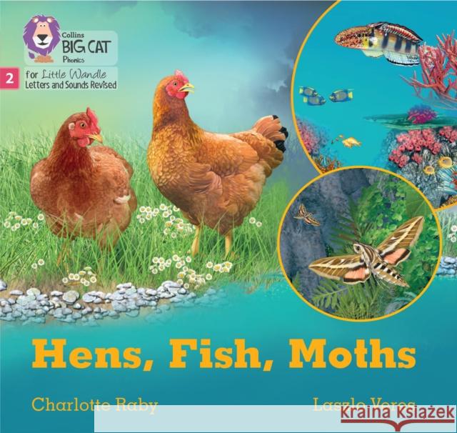 Hens, Fish, Moths: Phase 2 Set 5 Blending Practice  9780008540135 HarperCollins Publishers - książka