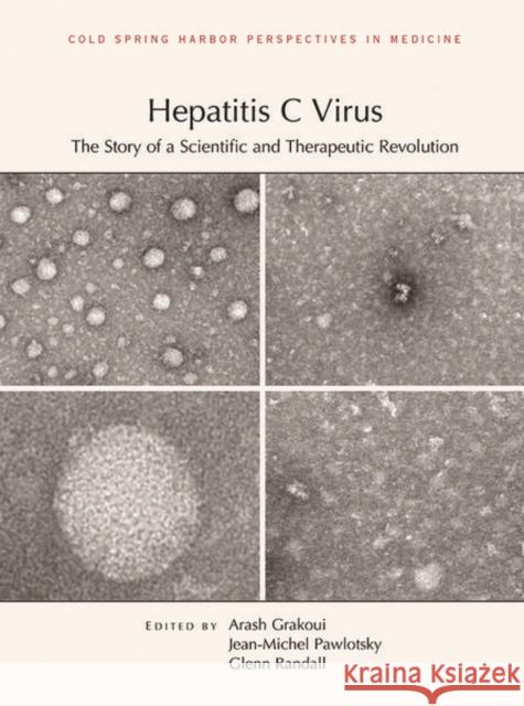 Hepatitis C Virus: The Story of a Scientific and Therapeutic Revolution Grakoui, Arash 9781621823193 Cold Spring Harbor Laboratory Press - książka
