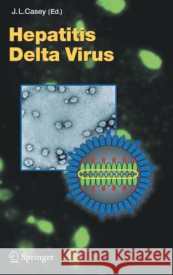 Hepatitis Delta Virus J. L. Casey Ed Case John L. Casey 9783540298014 Springer - książka