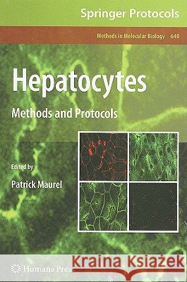 Hepatocytes: Methods and Protocols Maurel, Patrick 9781607616870 Humana Press - książka