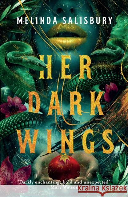 Her Dark Wings Melinda Salisbury 9781788452137 David Fickling Books - książka