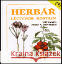 Herbář léčivých rostlin 4. P - Š Magdalena Martínková 9788072813780 Eminent - książka