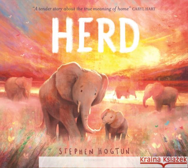 HERD Stephen Hogtun 9781526610713 Bloomsbury Publishing PLC - książka